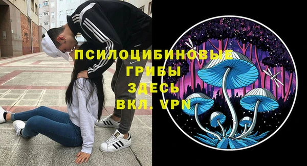 стаф Зерноград