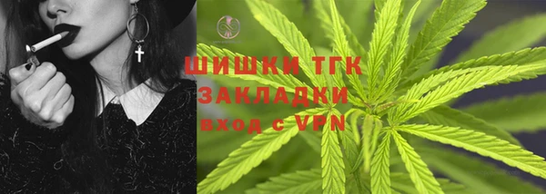 ПСИЛОЦИБИНОВЫЕ ГРИБЫ Инта