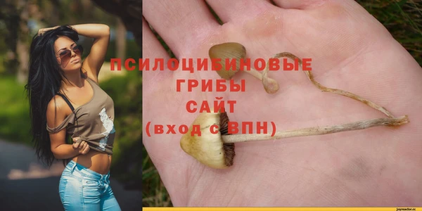 стаф Зерноград