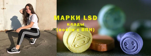 мяу мяу мука Иннополис