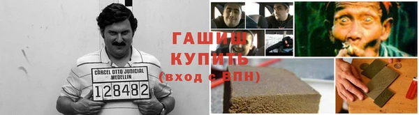 ПСИЛОЦИБИНОВЫЕ ГРИБЫ Инта