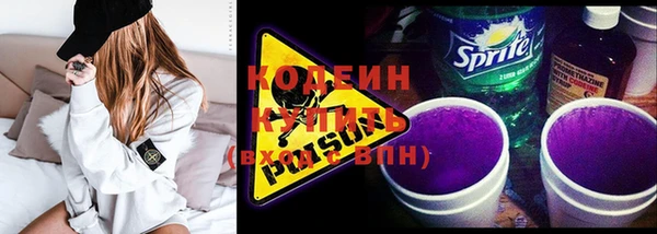 мяу мяу мука Иннополис