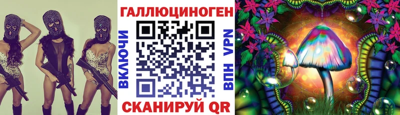 даркнет официальный сайт  закладки  Сковородино  Псилоцибиновые грибы MAGIC MUSHROOMS 